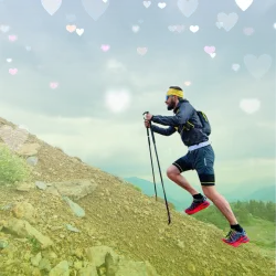 Категорія Трекінгові палиці