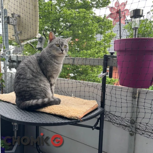 Эргономичный дизайн и удобство: