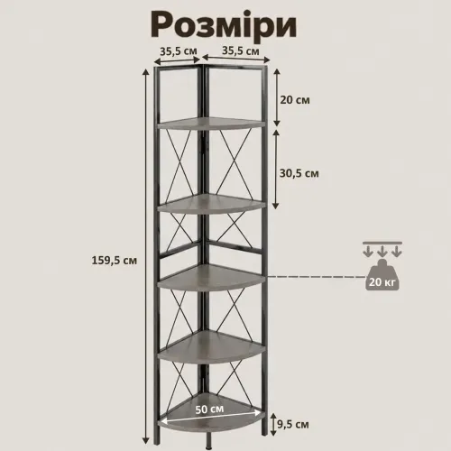 От домашней библиотеки до уголка с растениями