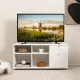 Image 3 for Тумба під телевізор Costway Nordic Media з 2 шухлядами та відкритими полицями білий